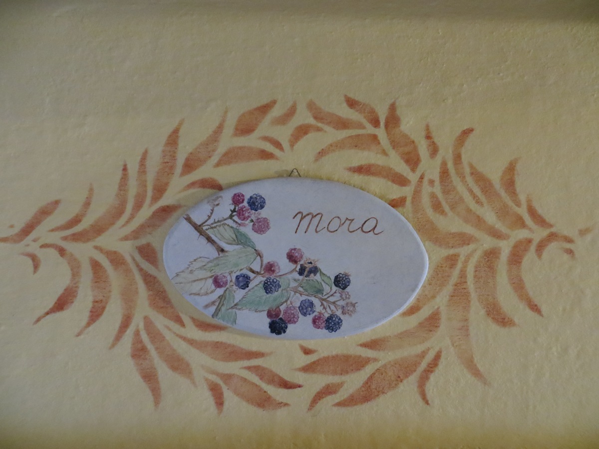 Camera Mora