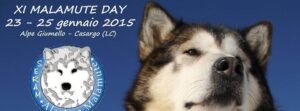 Manifesto Malamute Day 2015