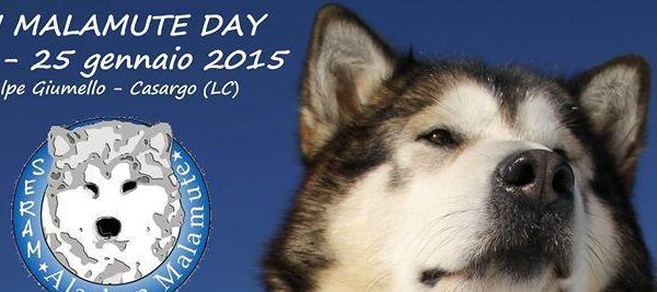 Manifesto Malamute Day 2015